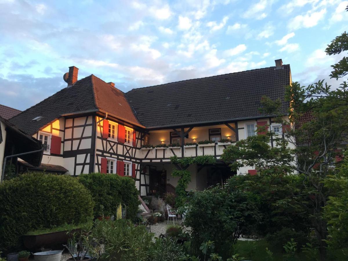 De Charme 'zum Schiff' 3* Iffezheim